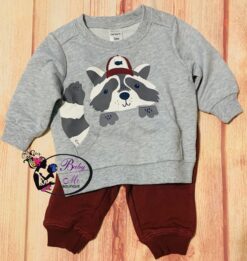 Carter’s 2-Piece Raccoon Pullover & Jogger Set